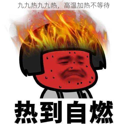 九九热九九热，高温加热不等待