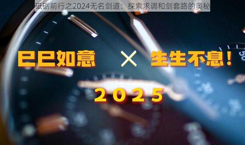 砥砺前行之2024无名剑道：探索求调和剑套路的奥秘