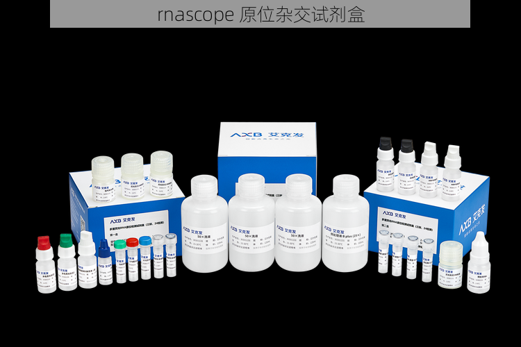 rnascope 原位杂交试剂盒