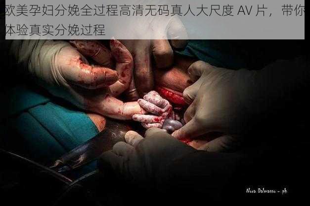 欧美孕妇分娩全过程高清无码真人大尺度 AV 片，带你体验真实分娩过程