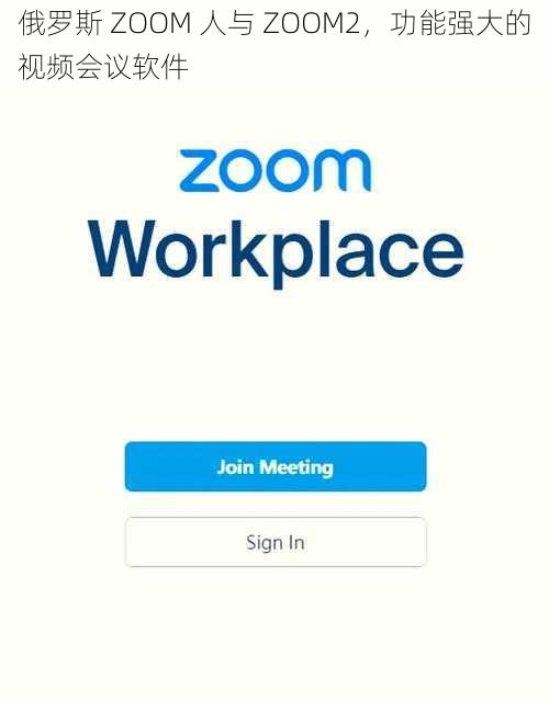 俄罗斯 ZOOM 人与 ZOOM2，功能强大的视频会议软件