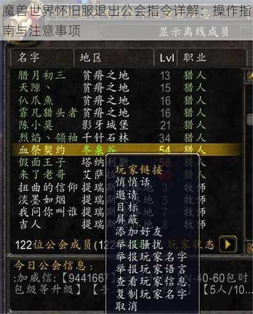 魔兽世界怀旧服退出公会指令详解：操作指南与注意事项