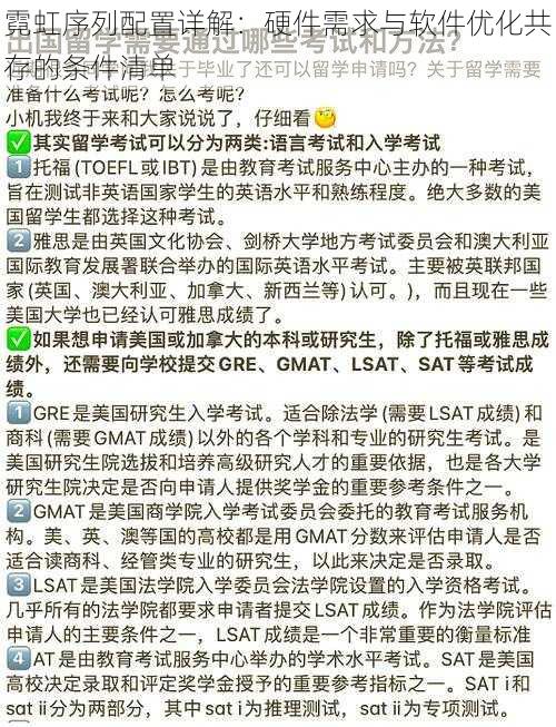 霓虹序列配置详解：硬件需求与软件优化共存的条件清单