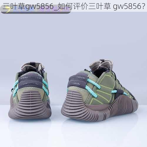 三叶草gw5856_如何评价三叶草 gw5856？