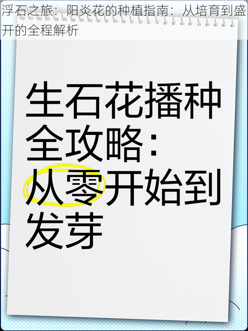 浮石之旅：阳炎花的种植指南：从培育到盛开的全程解析