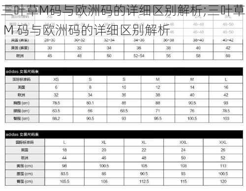 三叶草M码与欧洲码的详细区别解析;三叶草 M 码与欧洲码的详细区别解析