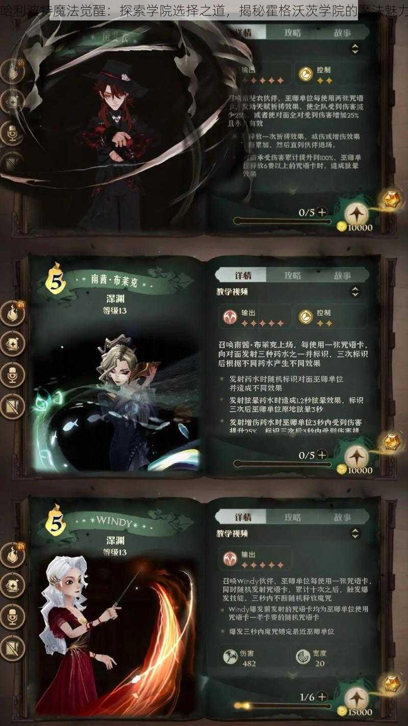 哈利波特魔法觉醒：探索学院选择之道，揭秘霍格沃茨学院的魔法魅力