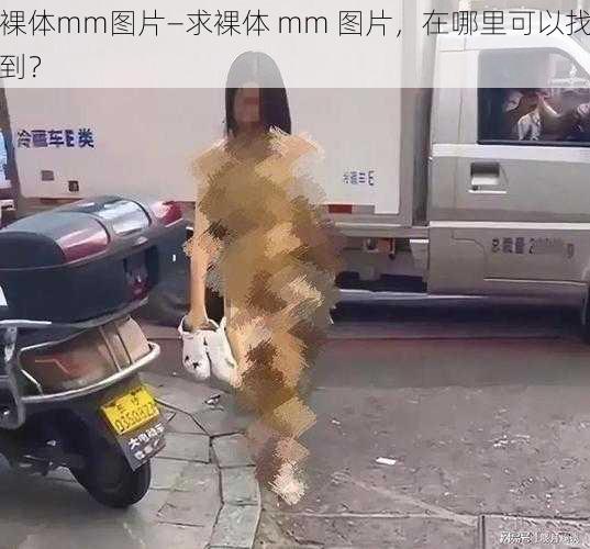 裸体mm图片—求裸体 mm 图片，在哪里可以找到？