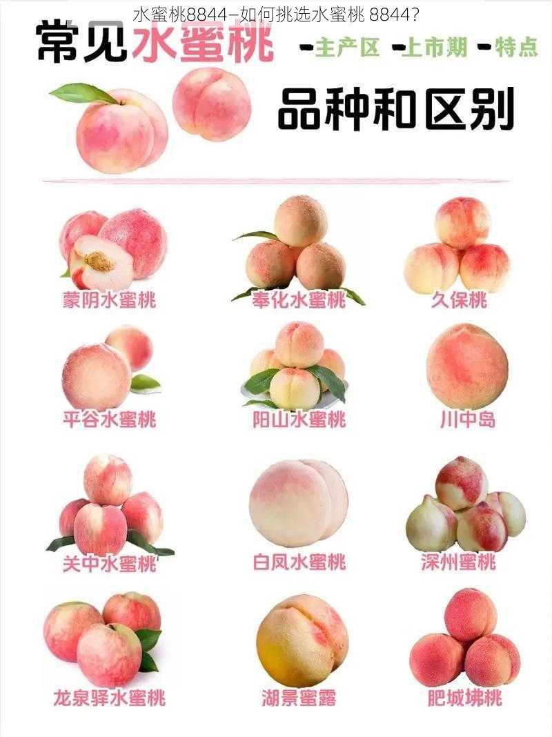 水蜜桃8844—如何挑选水蜜桃 8844？