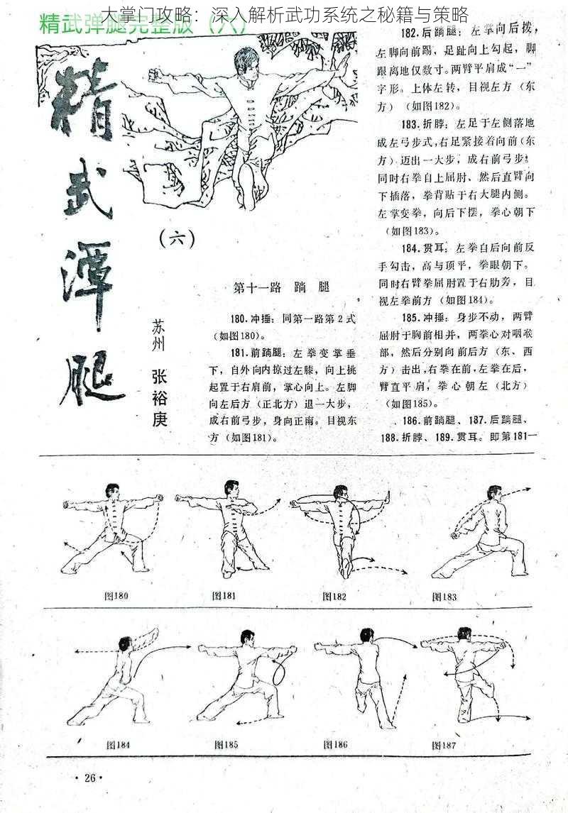 大掌门攻略：深入解析武功系统之秘籍与策略