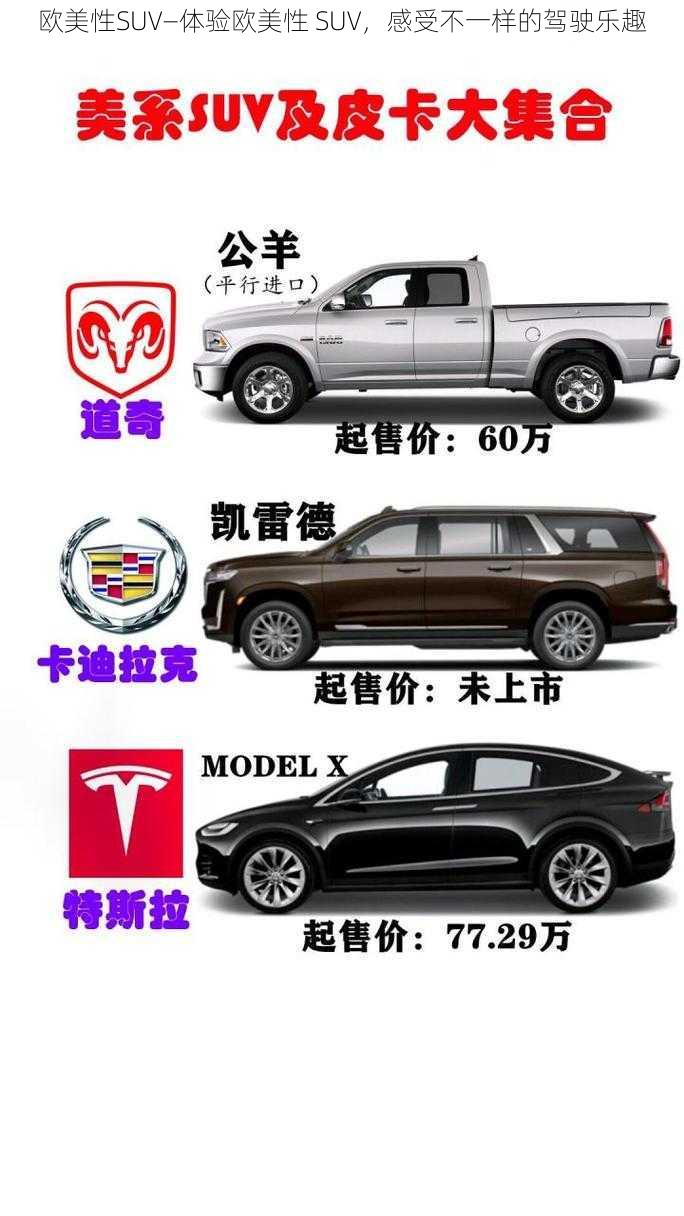 欧美性SUV—体验欧美性 SUV，感受不一样的驾驶乐趣