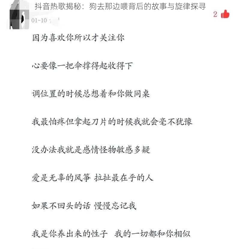 抖音热歌揭秘：狗去那边喂背后的故事与旋律探寻