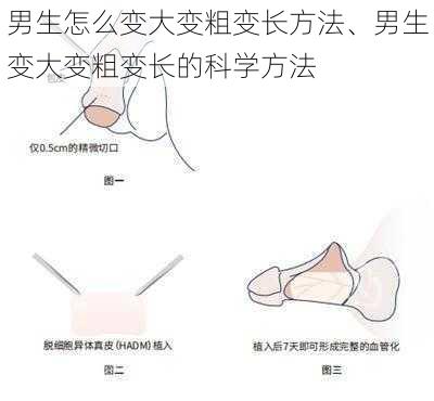 男生怎么变大变粗变长方法、男生变大变粗变长的科学方法