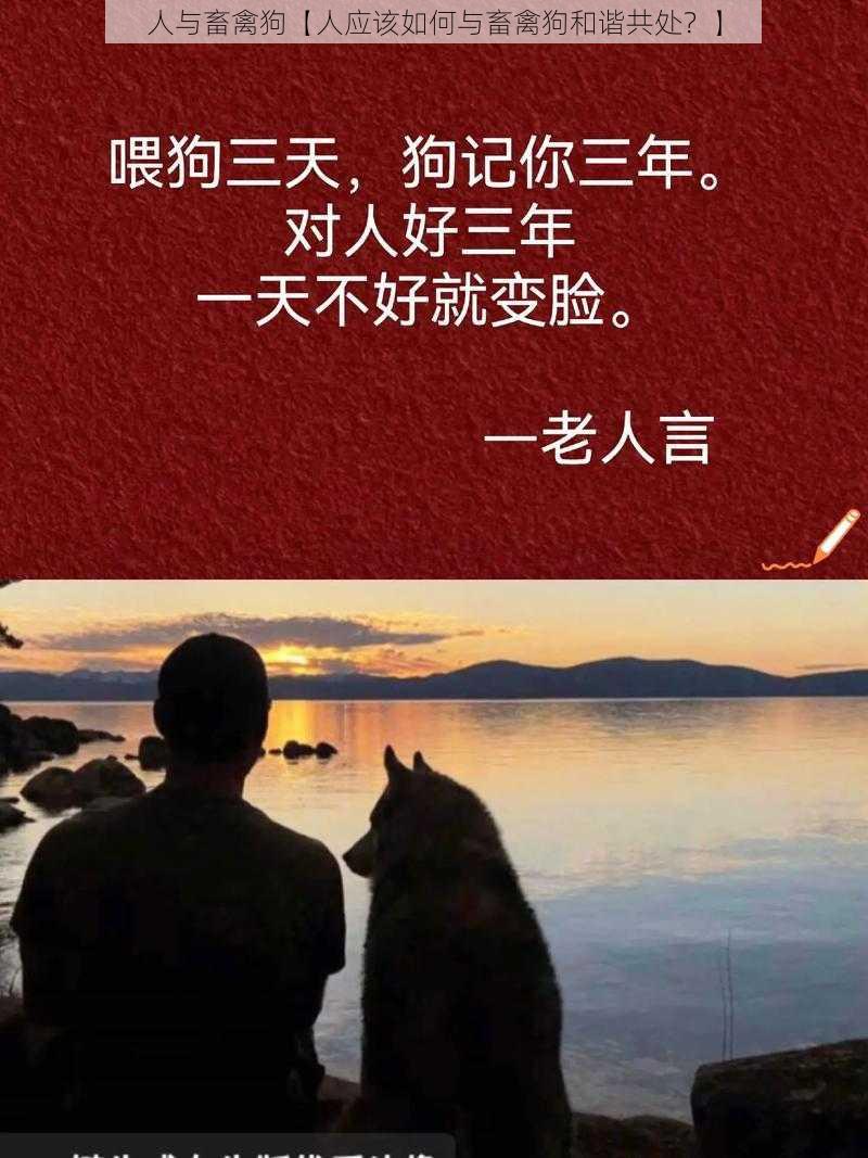 人与畜禽狗【人应该如何与畜禽狗和谐共处？】