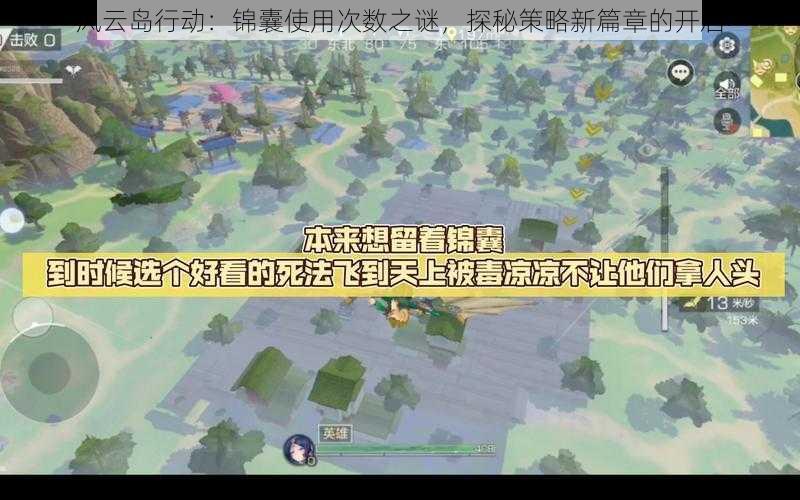 风云岛行动：锦囊使用次数之谜，探秘策略新篇章的开启