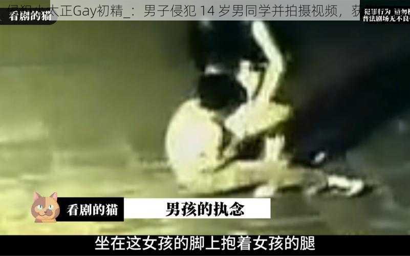 侵犯小太正Gay初精_：男子侵犯 14 岁男同学并拍摄视频，获刑三年