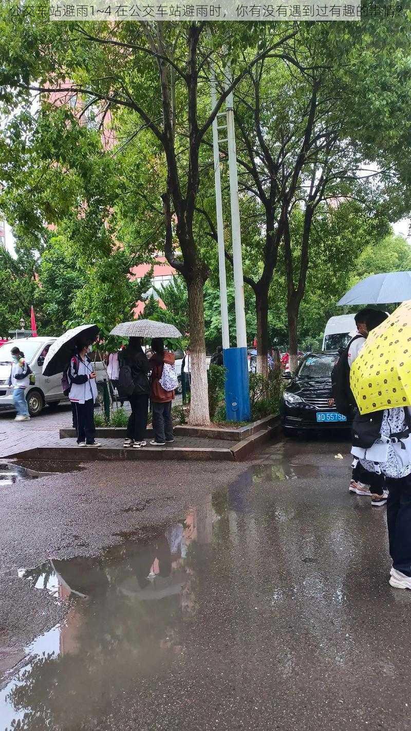 公交车站避雨1~4 在公交车站避雨时，你有没有遇到过有趣的事情？