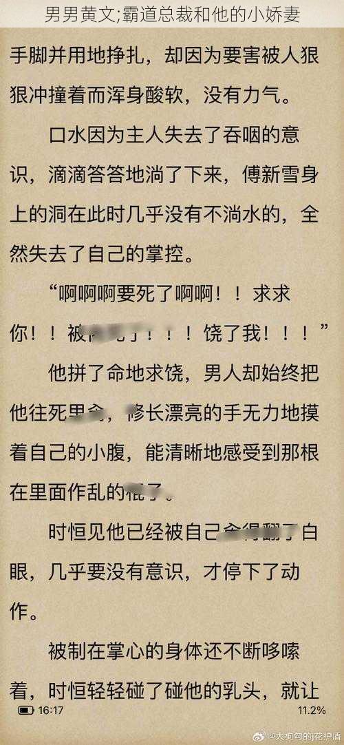 男男黄文;霸道总裁和他的小娇妻