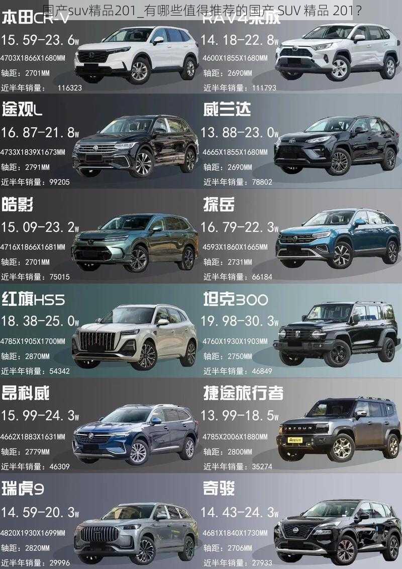 国产suv精品201_有哪些值得推荐的国产 SUV 精品 201？