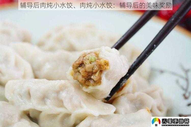 辅导后肉炖小水饺、肉炖小水饺：辅导后的美味奖励