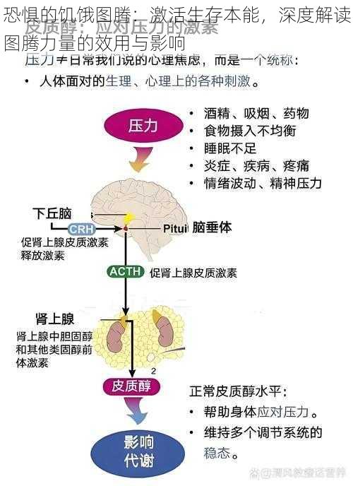 恐惧的饥饿图腾：激活生存本能，深度解读图腾力量的效用与影响