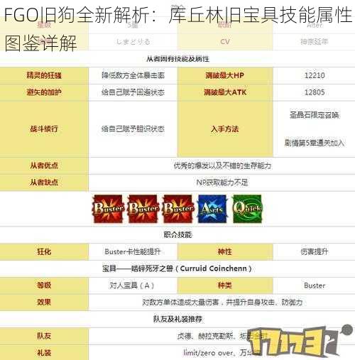 FGO旧狗全新解析：库丘林旧宝具技能属性图鉴详解