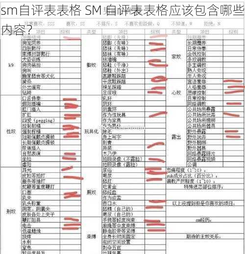 sm自评表表格 SM 自评表表格应该包含哪些内容？