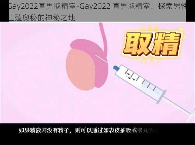 Gay2022直男取精室-Gay2022 直男取精室：探索男性生殖奥秘的神秘之地