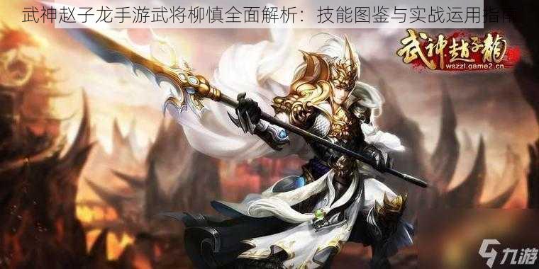 武神赵子龙手游武将柳慎全面解析：技能图鉴与实战运用指南