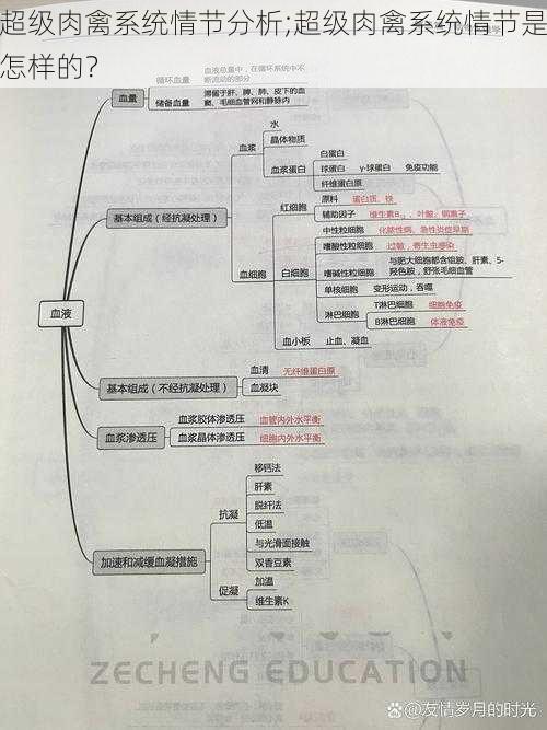 超级肉禽系统情节分析;超级肉禽系统情节是怎样的？