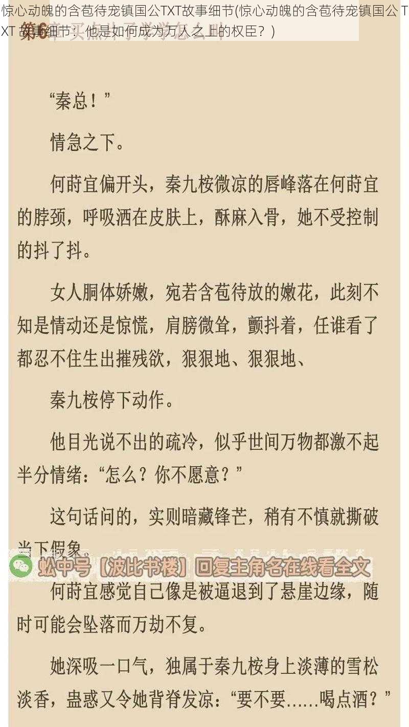 惊心动魄的含苞待宠镇国公TXT故事细节(惊心动魄的含苞待宠镇国公 TXT 故事细节：他是如何成为万人之上的权臣？)