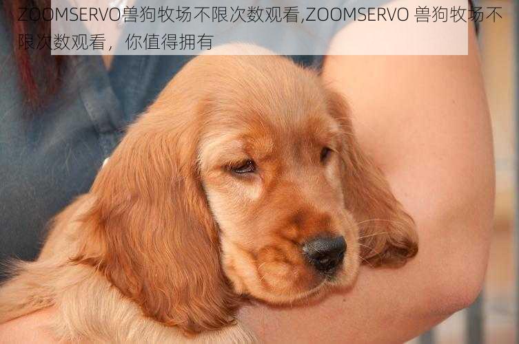 ZOOMSERVO兽狗牧场不限次数观看,ZOOMSERVO 兽狗牧场不限次数观看，你值得拥有