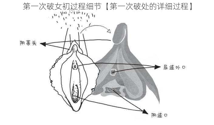 第一次破女初过程细节【第一次破处的详细过程】