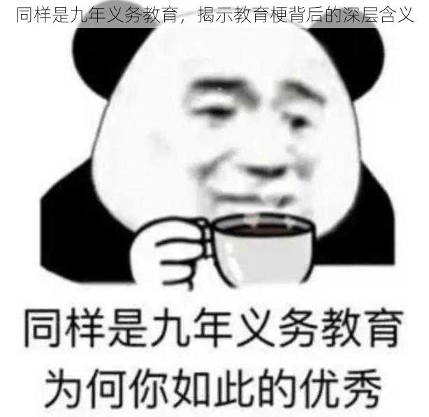 同样是九年义务教育，揭示教育梗背后的深层含义