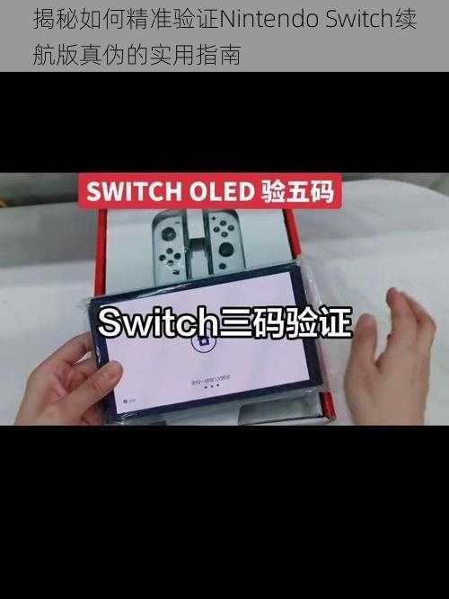 揭秘如何精准验证Nintendo Switch续航版真伪的实用指南