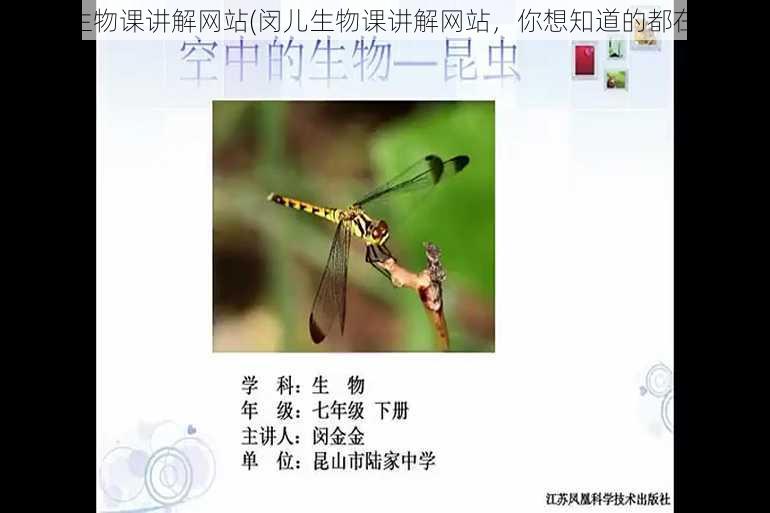 闵儿生物课讲解网站(闵儿生物课讲解网站，你想知道的都在这里)