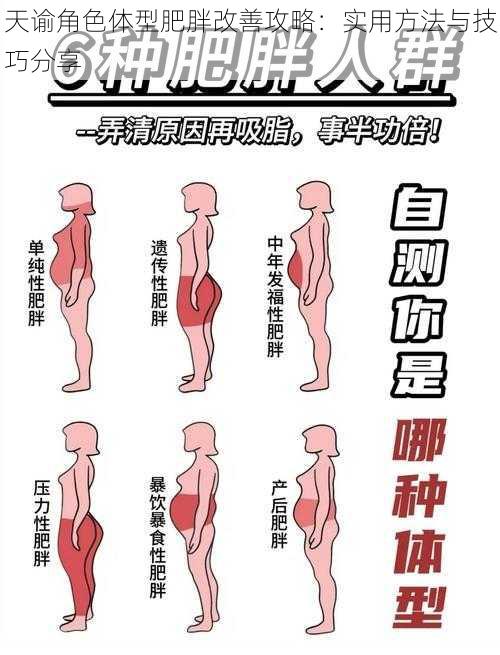 天谕角色体型肥胖改善攻略：实用方法与技巧分享