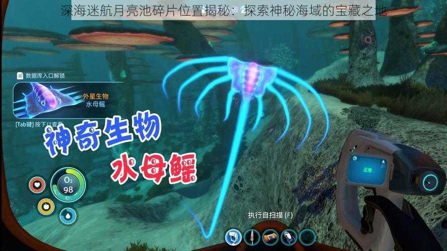 深海迷航月亮池碎片位置揭秘：探索神秘海域的宝藏之地