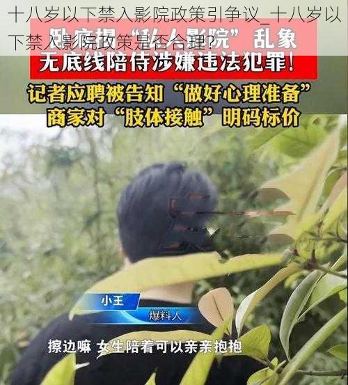 十八岁以下禁入影院政策引争议_十八岁以下禁入影院政策是否合理？