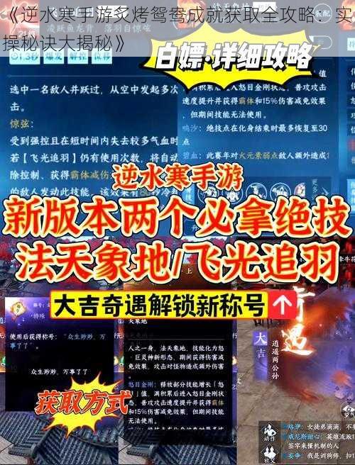 《逆水寒手游炙烤鸳鸯成就获取全攻略：实操秘诀大揭秘》