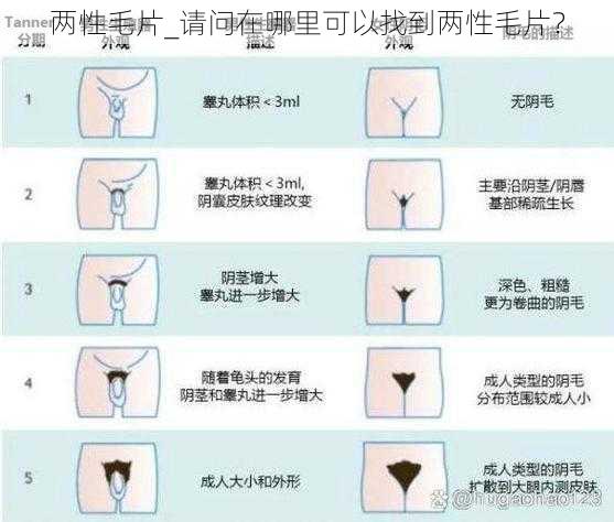 两性毛片_请问在哪里可以找到两性毛片？