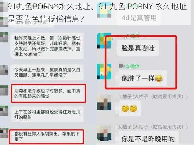 91九色PORNY永久地址、91 九色 PORNY 永久地址是否为色情低俗信息？