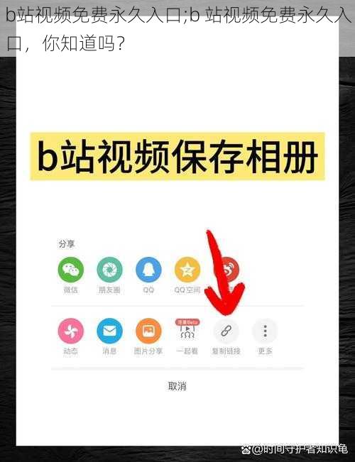 b站视频免费永久入口;b 站视频免费永久入口，你知道吗？