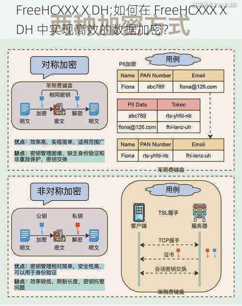 FreeHCXXXⅩDH;如何在 FreeHCXXXⅩDH 中实现高效的数据加密？