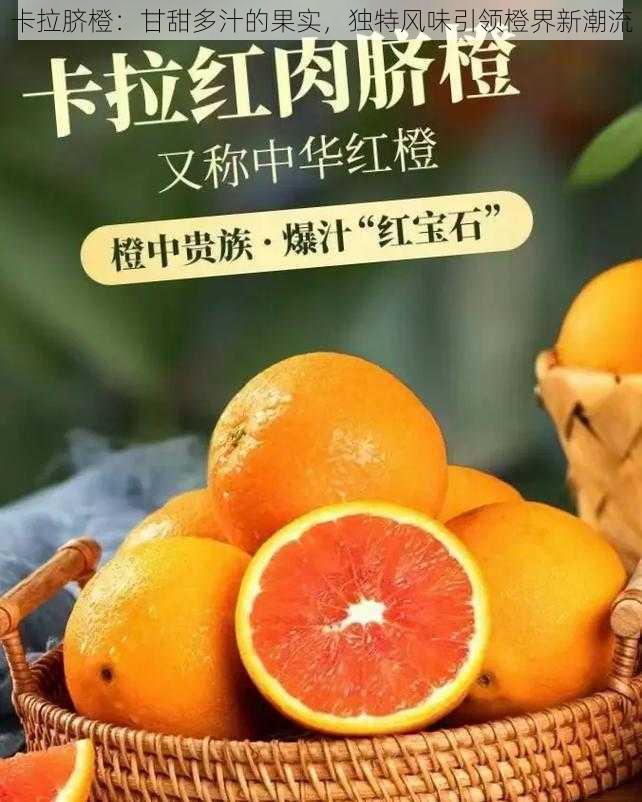 卡拉脐橙：甘甜多汁的果实，独特风味引领橙界新潮流