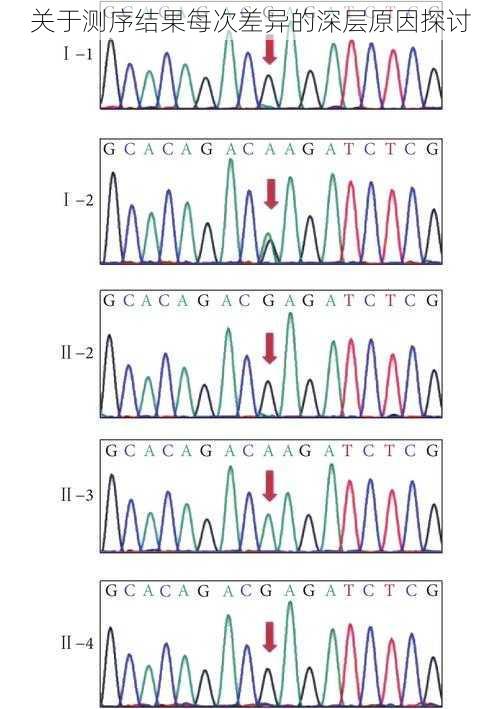 关于测序结果每次差异的深层原因探讨