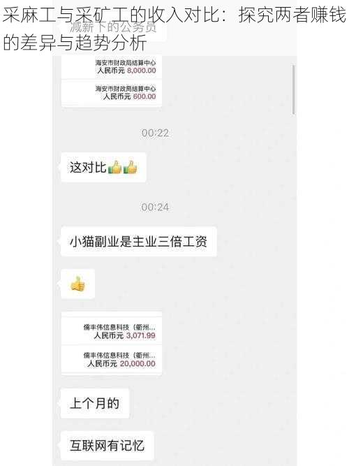 采麻工与采矿工的收入对比：探究两者赚钱的差异与趋势分析