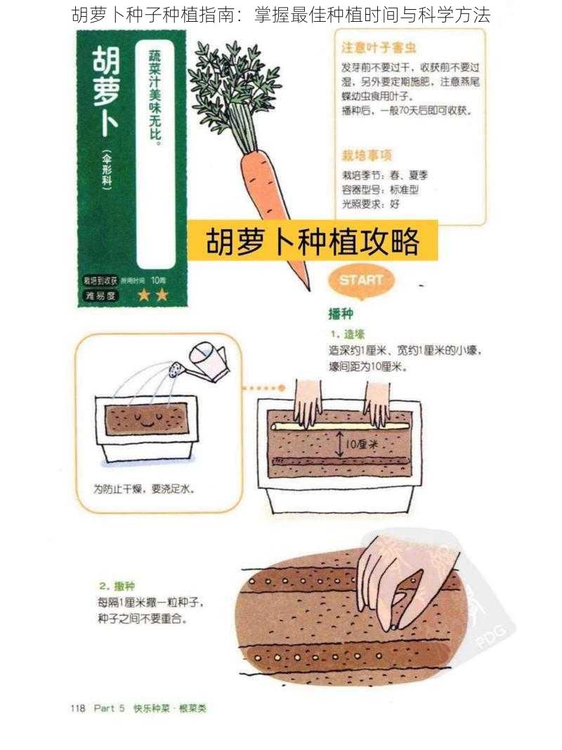 胡萝卜种子种植指南：掌握最佳种植时间与科学方法