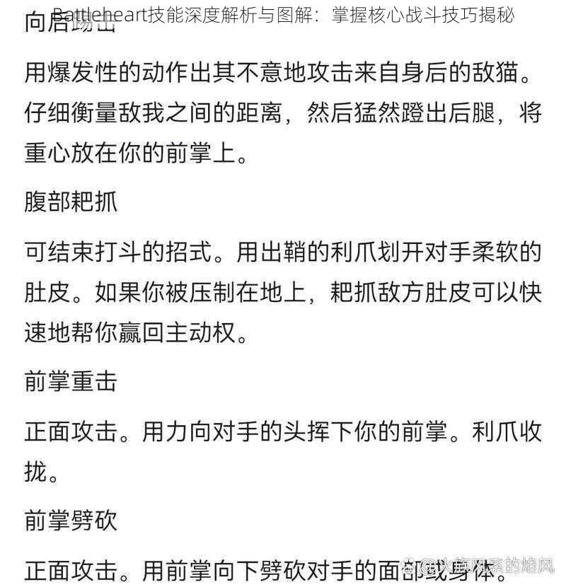 Battleheart技能深度解析与图解：掌握核心战斗技巧揭秘