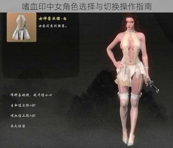 嗜血印中女角色选择与切换操作指南